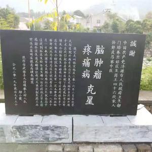 成功案例