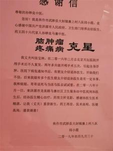 成功案例