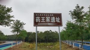 成功案例